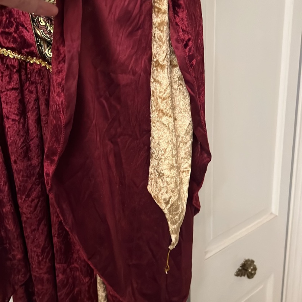 Halloween costume. Renaissance Maiden - Picture 4 of 13